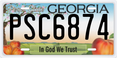 GA license plate PSC6874