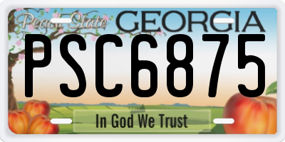 GA license plate PSC6875