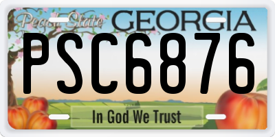 GA license plate PSC6876
