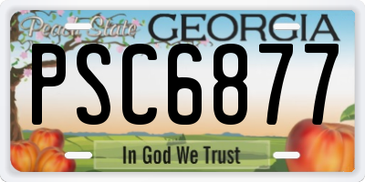 GA license plate PSC6877