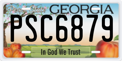 GA license plate PSC6879