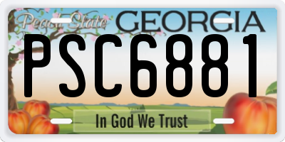 GA license plate PSC6881