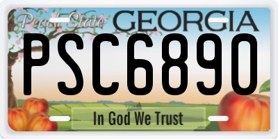 GA license plate PSC6890