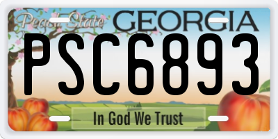 GA license plate PSC6893