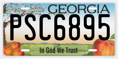 GA license plate PSC6895