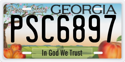 GA license plate PSC6897