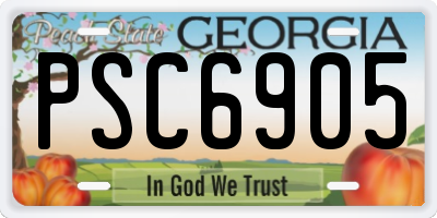 GA license plate PSC6905