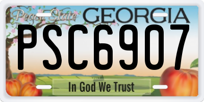 GA license plate PSC6907