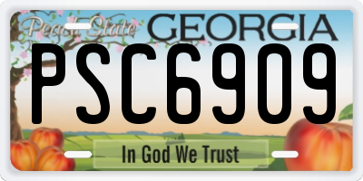 GA license plate PSC6909