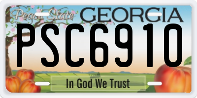 GA license plate PSC6910