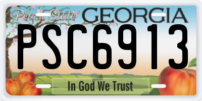 GA license plate PSC6913