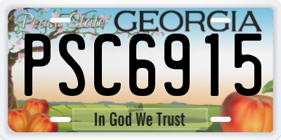 GA license plate PSC6915