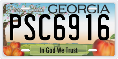 GA license plate PSC6916