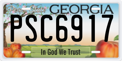 GA license plate PSC6917