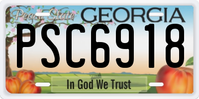 GA license plate PSC6918