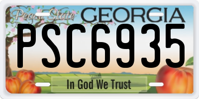 GA license plate PSC6935