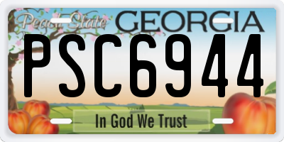 GA license plate PSC6944