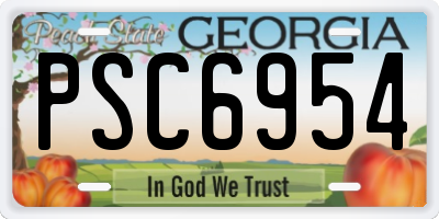 GA license plate PSC6954