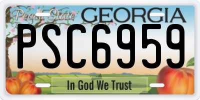 GA license plate PSC6959