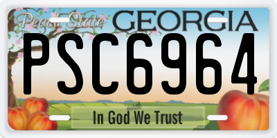 GA license plate PSC6964