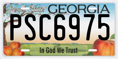 GA license plate PSC6975