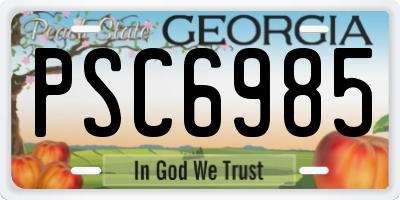 GA license plate PSC6985