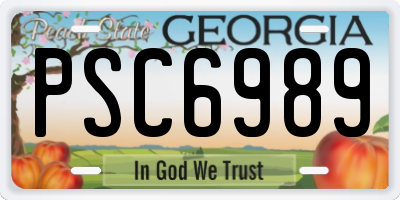 GA license plate PSC6989
