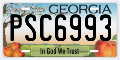 GA license plate PSC6993