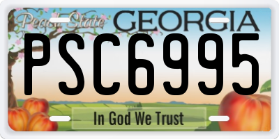 GA license plate PSC6995
