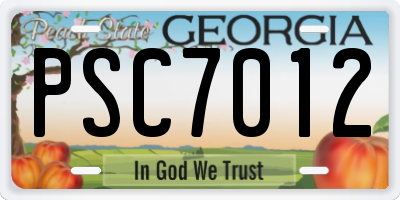GA license plate PSC7012