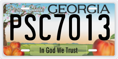 GA license plate PSC7013