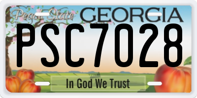 GA license plate PSC7028