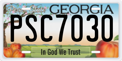 GA license plate PSC7030