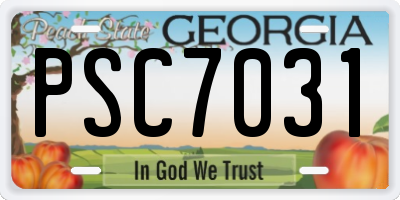 GA license plate PSC7031