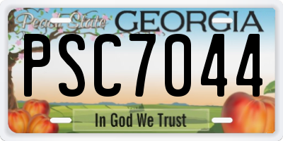 GA license plate PSC7044