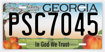 GA license plate PSC7045
