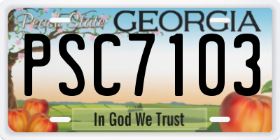 GA license plate PSC7103