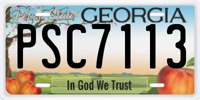GA license plate PSC7113