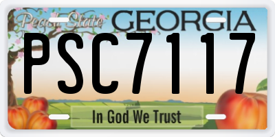 GA license plate PSC7117