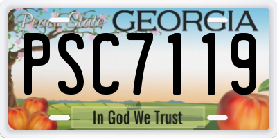 GA license plate PSC7119