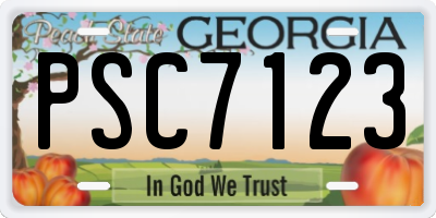GA license plate PSC7123