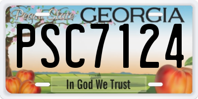 GA license plate PSC7124