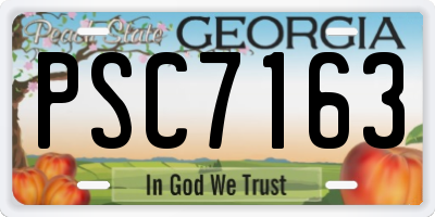 GA license plate PSC7163