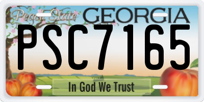 GA license plate PSC7165