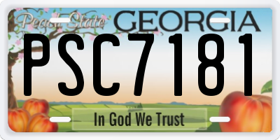 GA license plate PSC7181