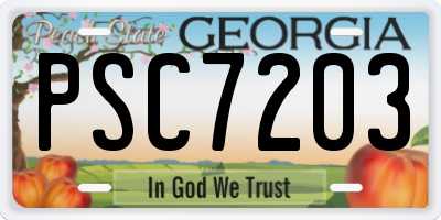 GA license plate PSC7203
