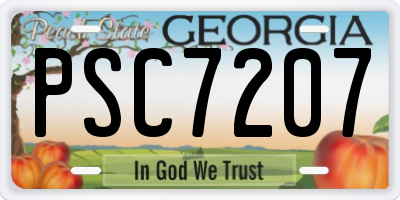 GA license plate PSC7207