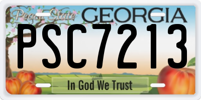 GA license plate PSC7213