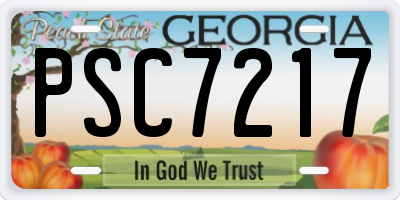 GA license plate PSC7217