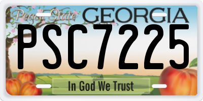 GA license plate PSC7225